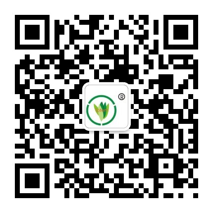 &#108;&#101;&#121;&#117;&#46;&#20048;&#40060;&#40;&#38598;&#22242;&#41;&#26234;&#33021;&#31185;&#25216;&#32929;&#20221;&#26377;&#38480;&#20844;&#21496;&#32593;&#31449;